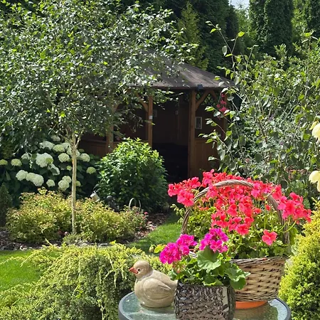 U Iwony Daire Sztutowo